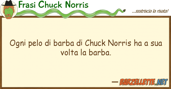 Frasi Chuck Norris ogni pelo barba chuck norris ha