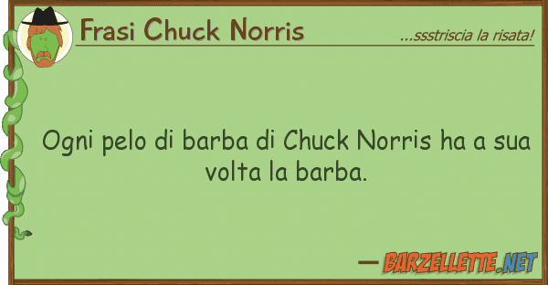 Frasi Chuck Norris ogni pelo barba chuck norris ha
