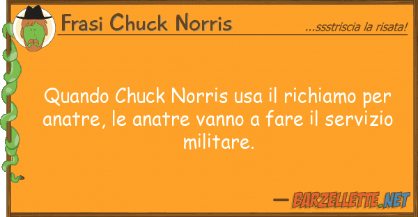 Frasi Chuck Norris quando chuck norris usa richiamo