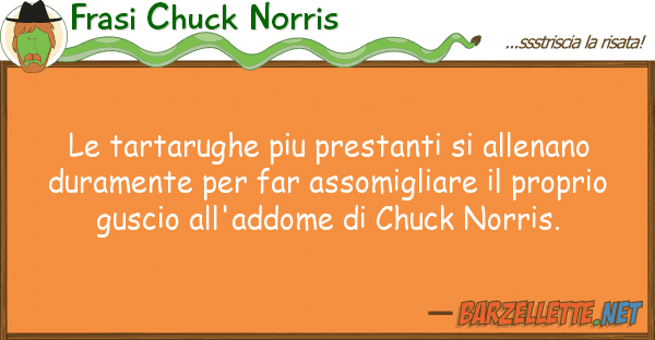 Frasi Chuck Norris tartarughe piu prestanti allenano