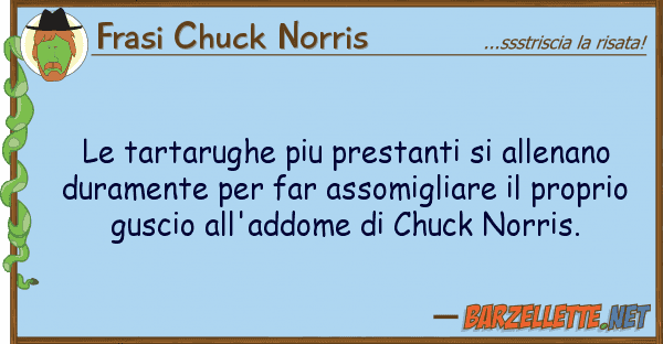 Frasi Chuck Norris tartarughe piu prestanti allenano