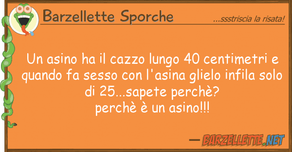 Barzellette Sporche asino ha cazzo lungo 40 centimetri