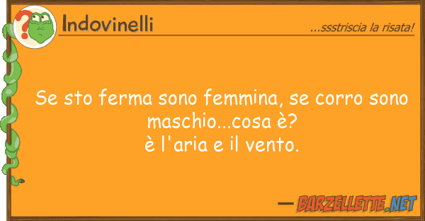 Indovinelli sto ferma sono femmina, corro sono
