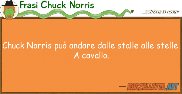 Frasi Chuck Norris chuck norris può andare stalle