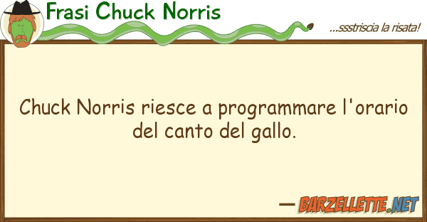 Frasi Chuck Norris chuck norris riesce programmare l'orar