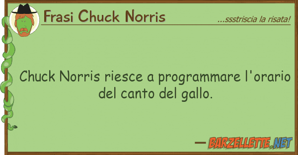 Frasi Chuck Norris chuck norris riesce programmare l'orar