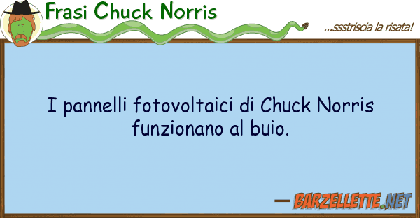 Frasi Chuck Norris pannelli fotovoltaici chuck norris