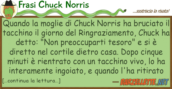 Frasi Chuck Norris quando moglie chuck norris ha bruc