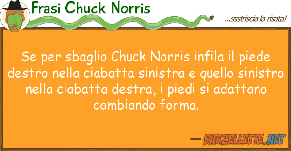 Frasi Chuck Norris sbaglio chuck norris infila pi