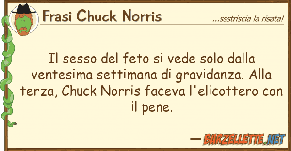 Frasi Chuck Norris sesso feto vede solo ven