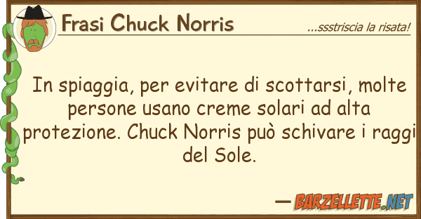 Frasi Chuck Norris spiaggia, evitare scottarsi, m