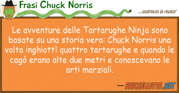 Frasi Chuck Norris avventure tartarughe ninja sono