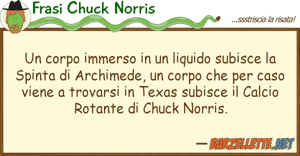 Frasi Chuck Norris corpo immerso liquido subisce