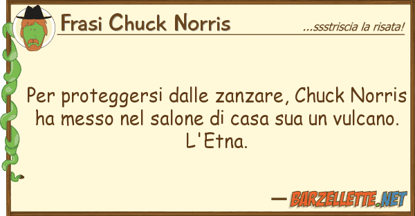 Frasi Chuck Norris proteggersi zanzare, chuck nor