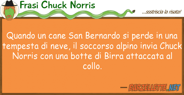 Frasi Chuck Norris quando cane san bernardo perde