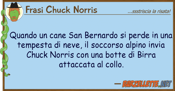 Frasi Chuck Norris quando cane san bernardo perde