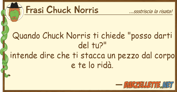 Frasi Chuck Norris quando chuck norris chiede "posso dar