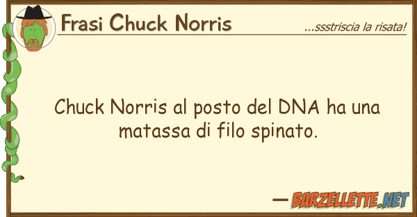 Frasi Chuck Norris chuck norris posto dna ha mat