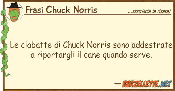 Frasi Chuck Norris ciabatte chuck norris sono addestr