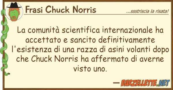 Frasi Chuck Norris comunità scientifica internazionale