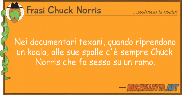 Frasi Chuck Norris documentari texani, quando riprendon