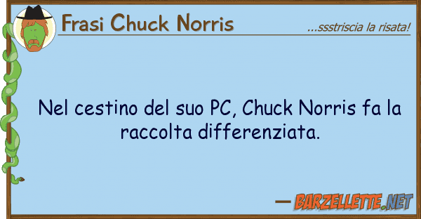 Frasi Chuck Norris cestino pc, chuck norris fa
