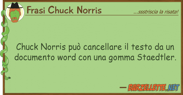 Frasi Chuck Norris chuck norris può cancellare testo