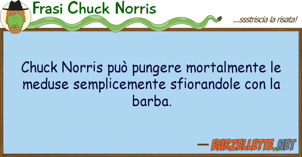 Frasi Chuck Norris chuck norris può pungere mortalmente