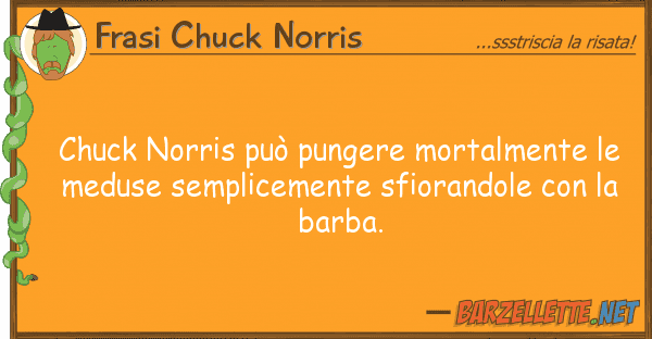 Frasi Chuck Norris chuck norris può pungere mortalmente
