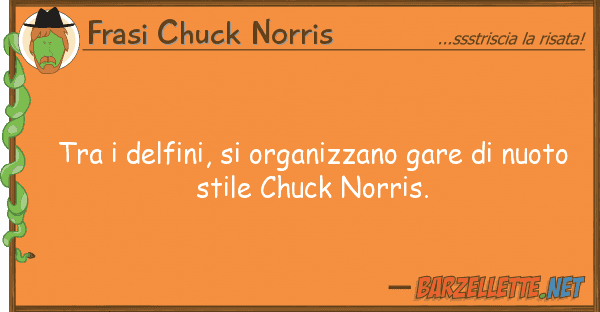 Frasi Chuck Norris delfini, organizzano gare nu