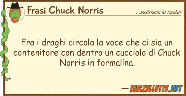 Frasi Chuck Norris fra draghi circola voce sia