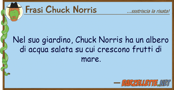 Frasi Chuck Norris giardino, chuck norris ha alb