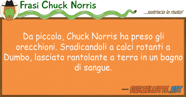 Frasi Chuck Norris piccolo, chuck norris ha preso