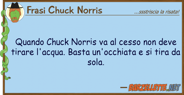 Frasi Chuck Norris quando chuck norris va cesso deve