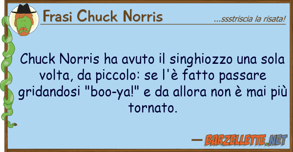Frasi Chuck Norris chuck norris ha avuto singhiozzo