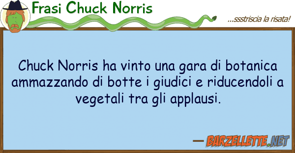 Frasi Chuck Norris chuck norris ha vinto gara botani