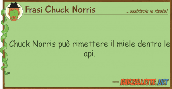 Frasi Chuck Norris chuck norris può rimettere miele den