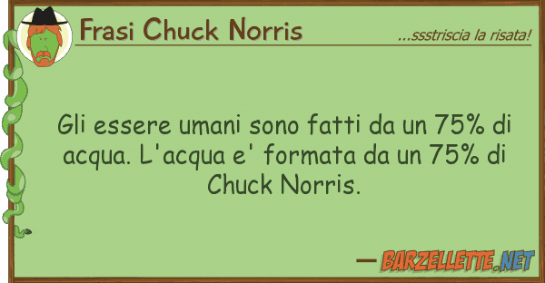 Frasi Chuck Norris essere umani sono fatti 75%
