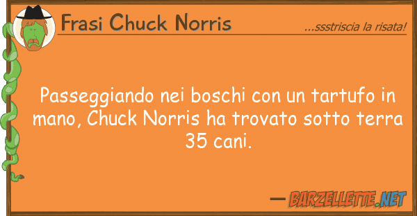 Frasi Chuck Norris passeggiando boschi tartufo