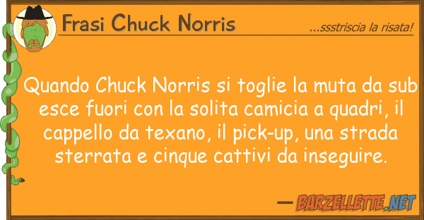 Frasi Chuck Norris quando chuck norris toglie muta