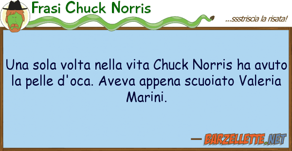 Frasi Chuck Norris sola volta vita chuck norris h