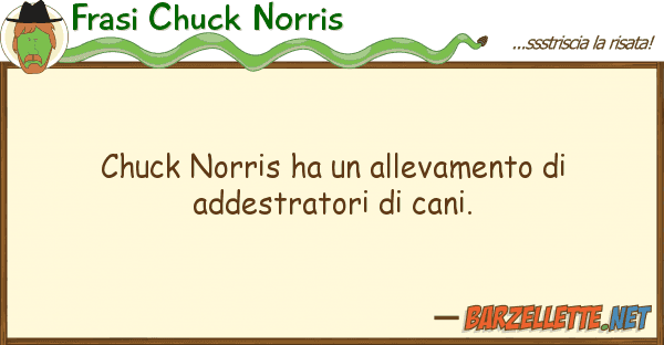 Frasi Chuck Norris chuck norris ha allevamento addest