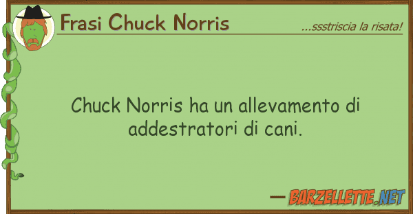 Frasi Chuck Norris chuck norris ha allevamento addest