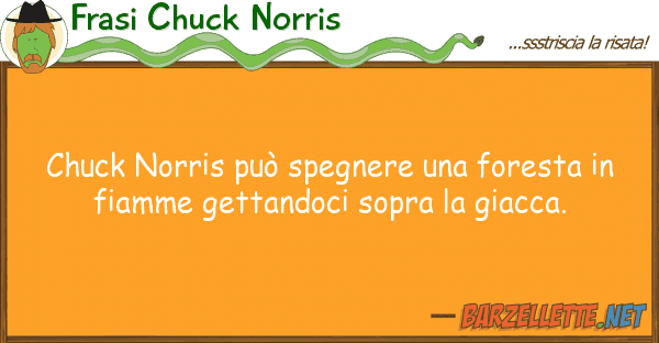 Frasi Chuck Norris chuck norris può spegnere foresta