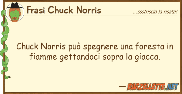 Frasi Chuck Norris chuck norris può spegnere foresta