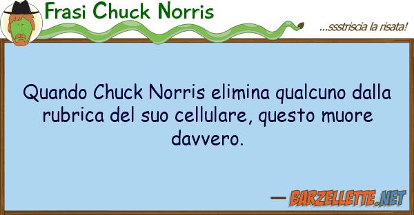 Frasi Chuck Norris quando chuck norris elimina qualcuno