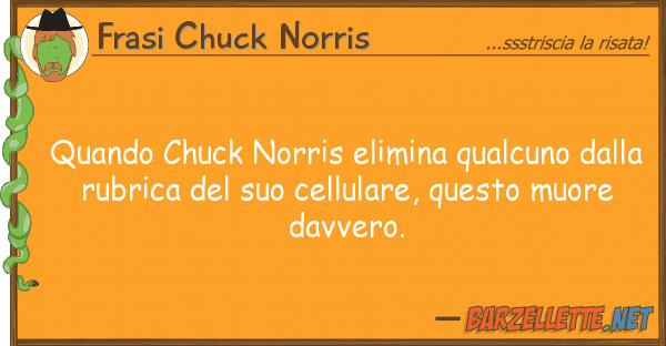 Frasi Chuck Norris quando chuck norris elimina qualcuno