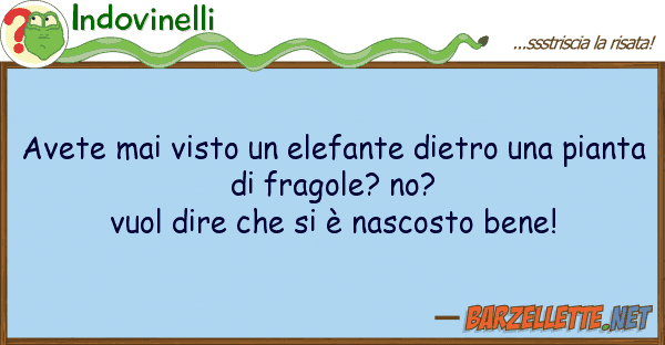 Indovinelli avete mai visto elefante dietro p