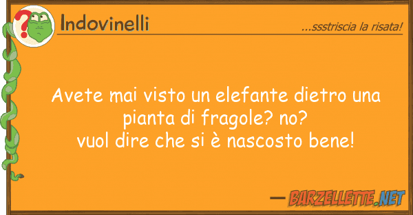 Indovinelli avete mai visto elefante dietro p