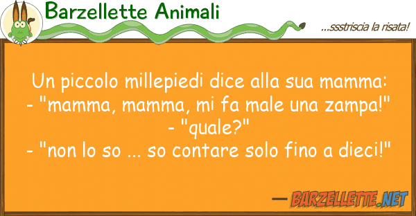 Barzellette Animali piccolo millepiedi dice mamm
